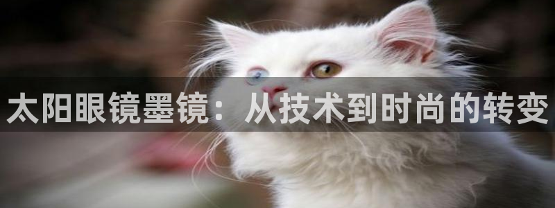 新宝5登录