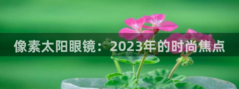 新宝5彩票平台登陆