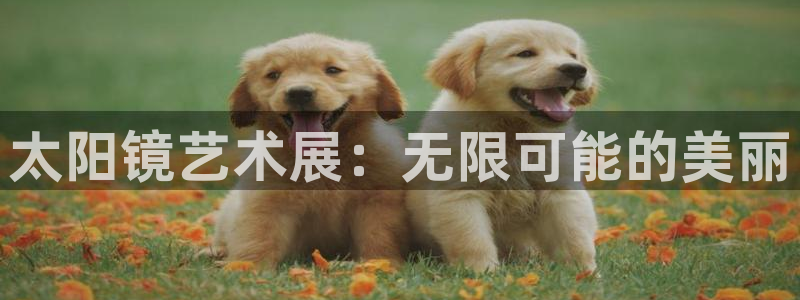 新宝5测速下载