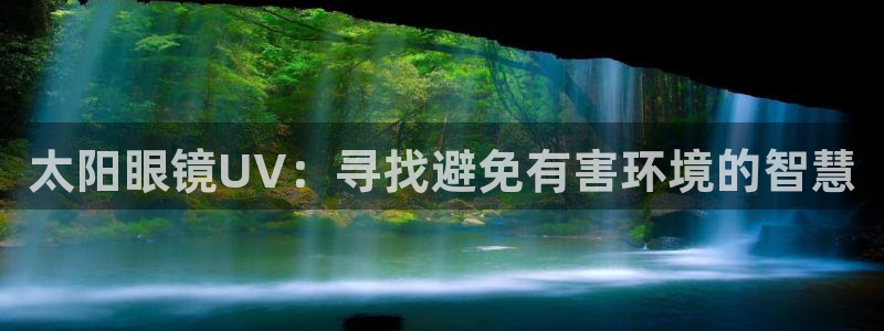 新宝5app手机下载