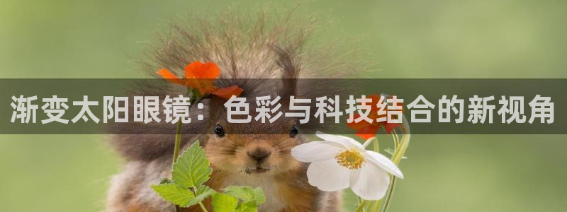 股票5G宝新