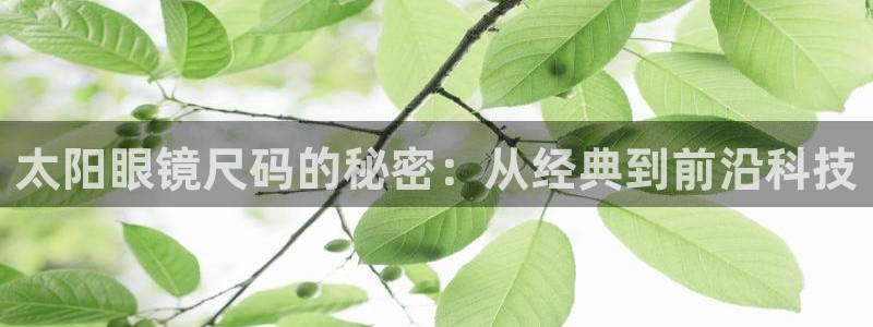 新宝5户端