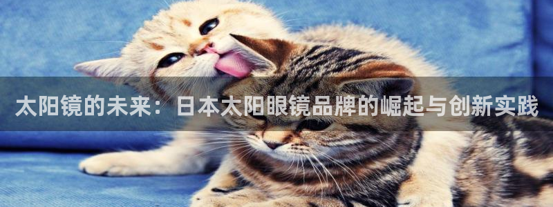 新宝5网