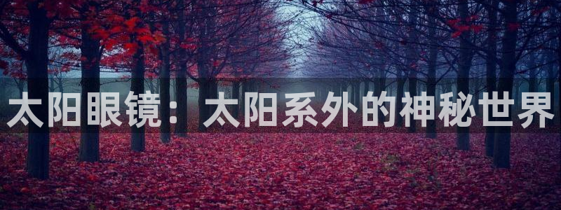 新宝cR一5