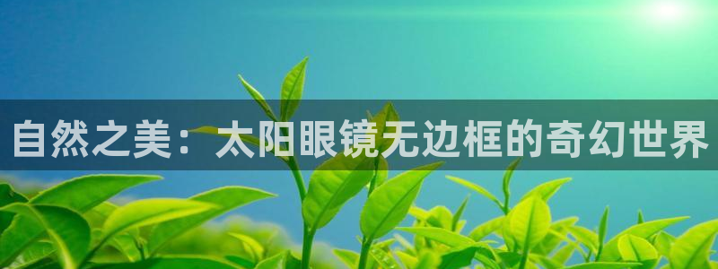 新宝5娱乐学