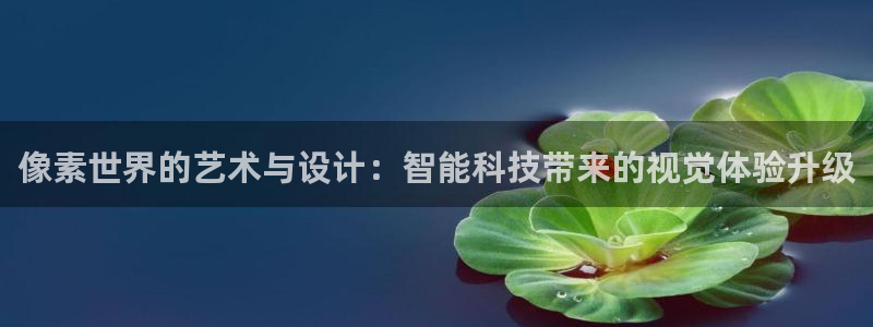 新宝5是什么样子的
