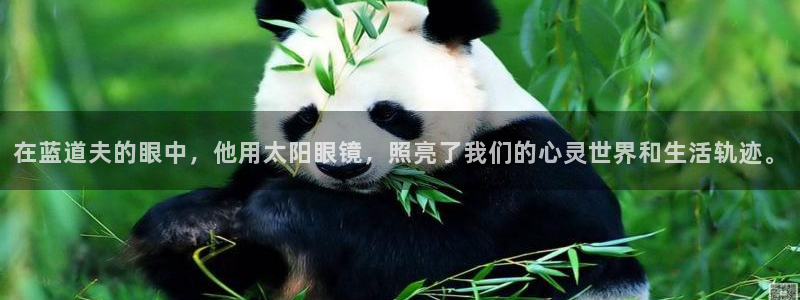 股票5G宝新