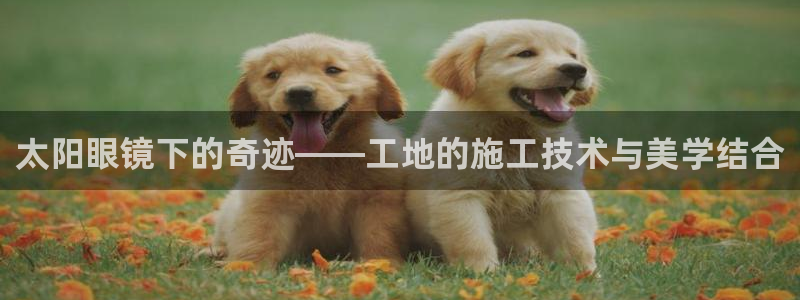 新宝股东张听2 5 5
