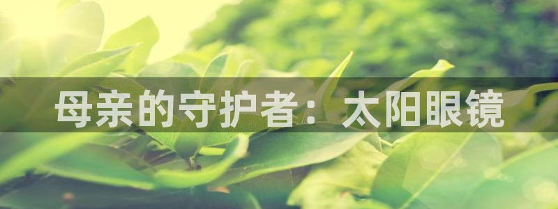 新宝股东瞧听2 5 5