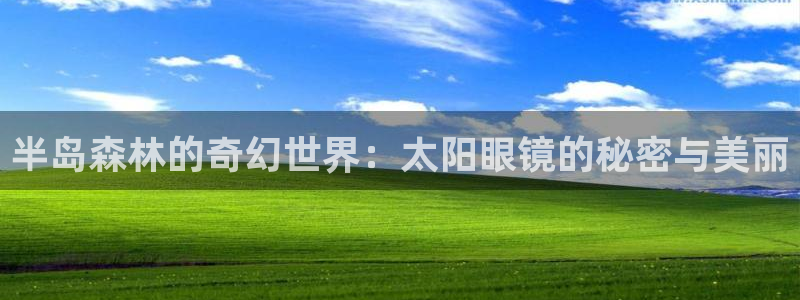 新宝骏rc5W