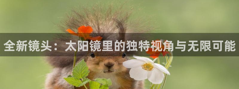 新宝5娱乐主管