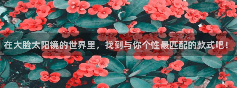 新宝5彩票平台登陆