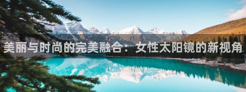 新宝5登陆地址