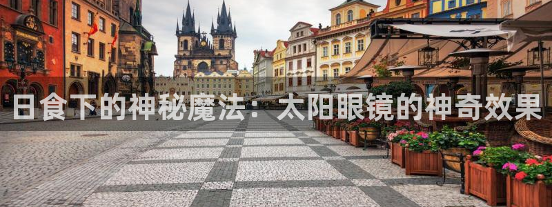 新宝股东瞧听2 5 5