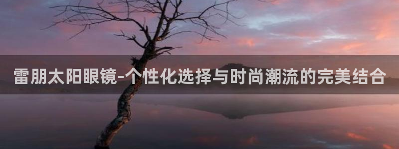 新宝股东瞧听2 5 5