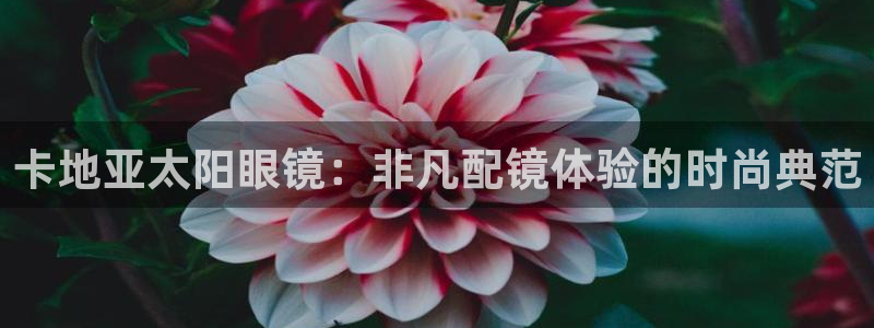 新宝5下载测试