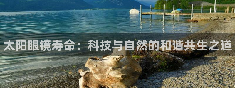 新宝5下载 迅雷下载