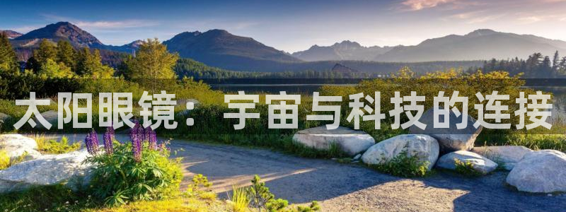 新宝股东瞧听2 5 5