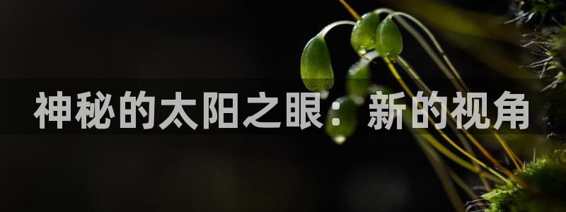 新宝5 - 测速登陆