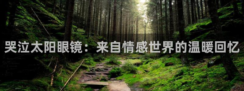 新宝5彩票平台登陆