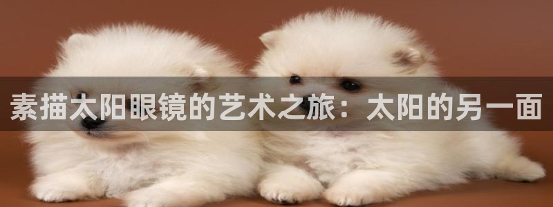 新宝股东张听2 5 5