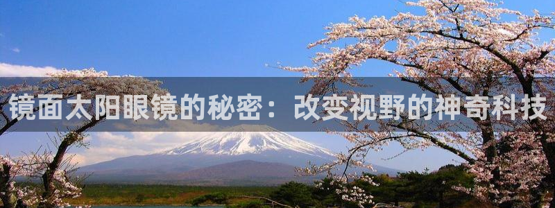 新宝5娱乐代理