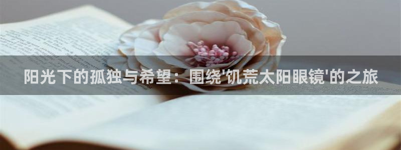 新宝股东王听2 5 5