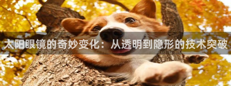 新宝5娱乐然