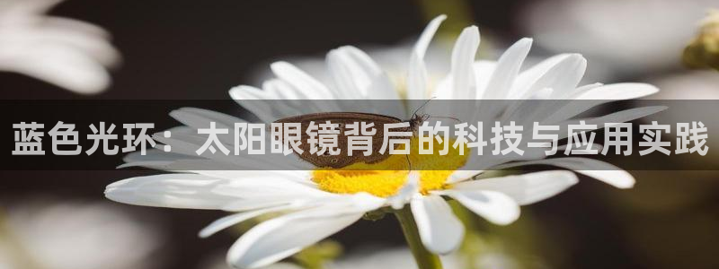 新宝5的网址
