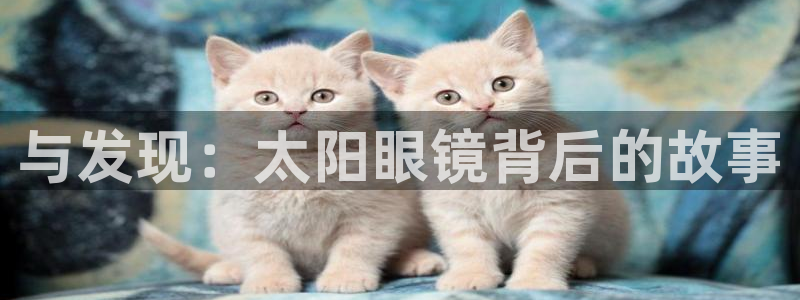 新宝5娱乐平台