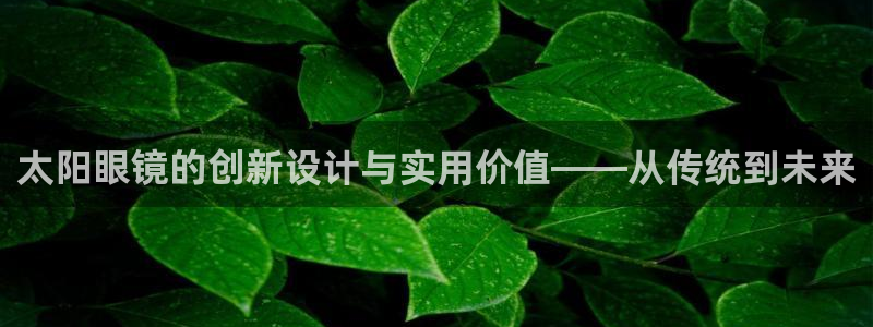 新5宝