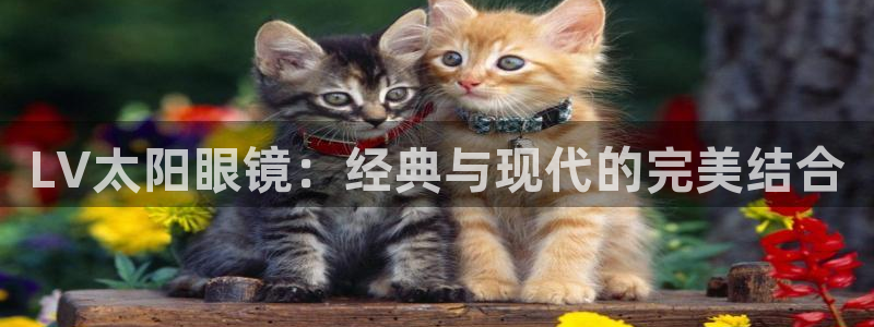 新宝5 代理